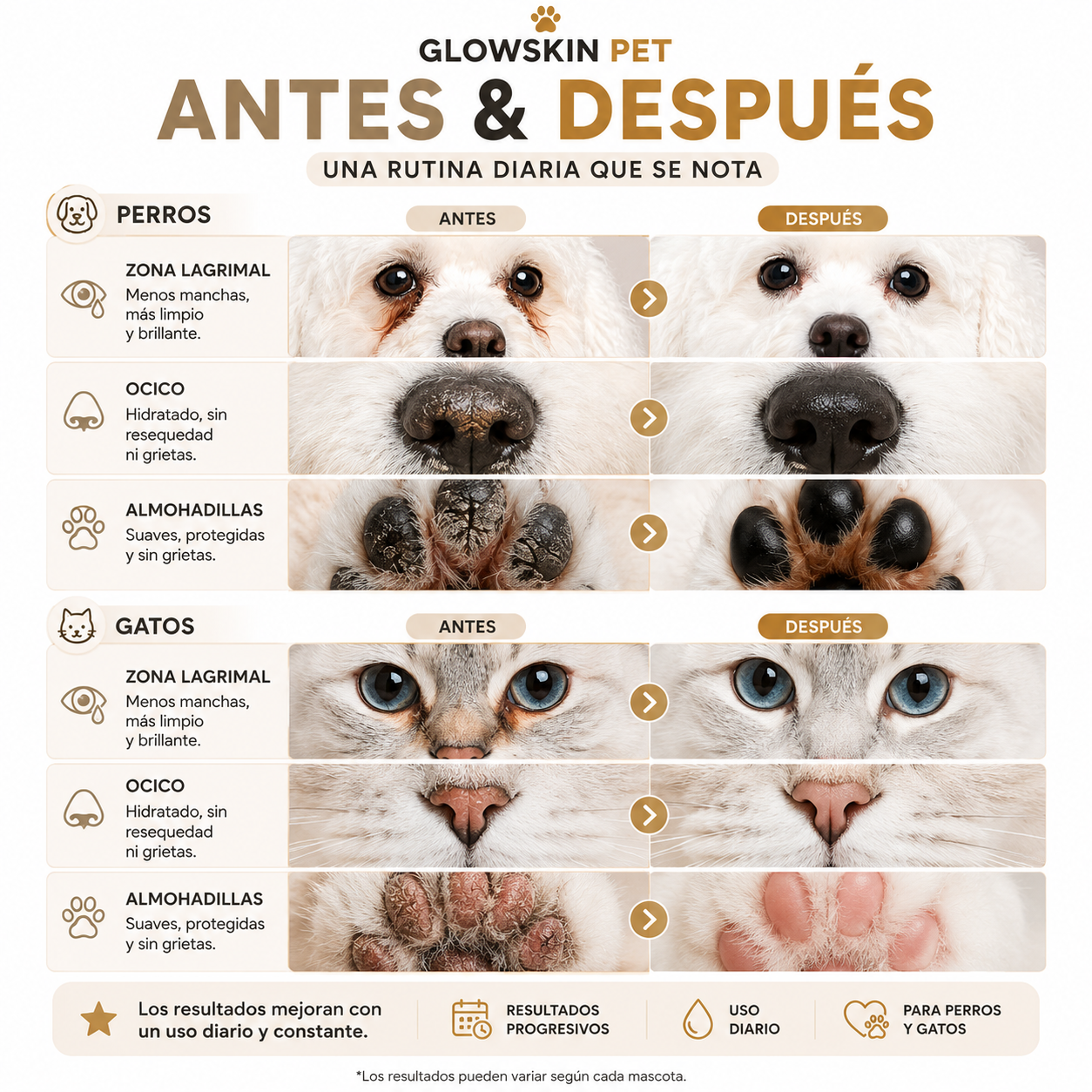 GlowSkin Pets - Kit de cuidado diario